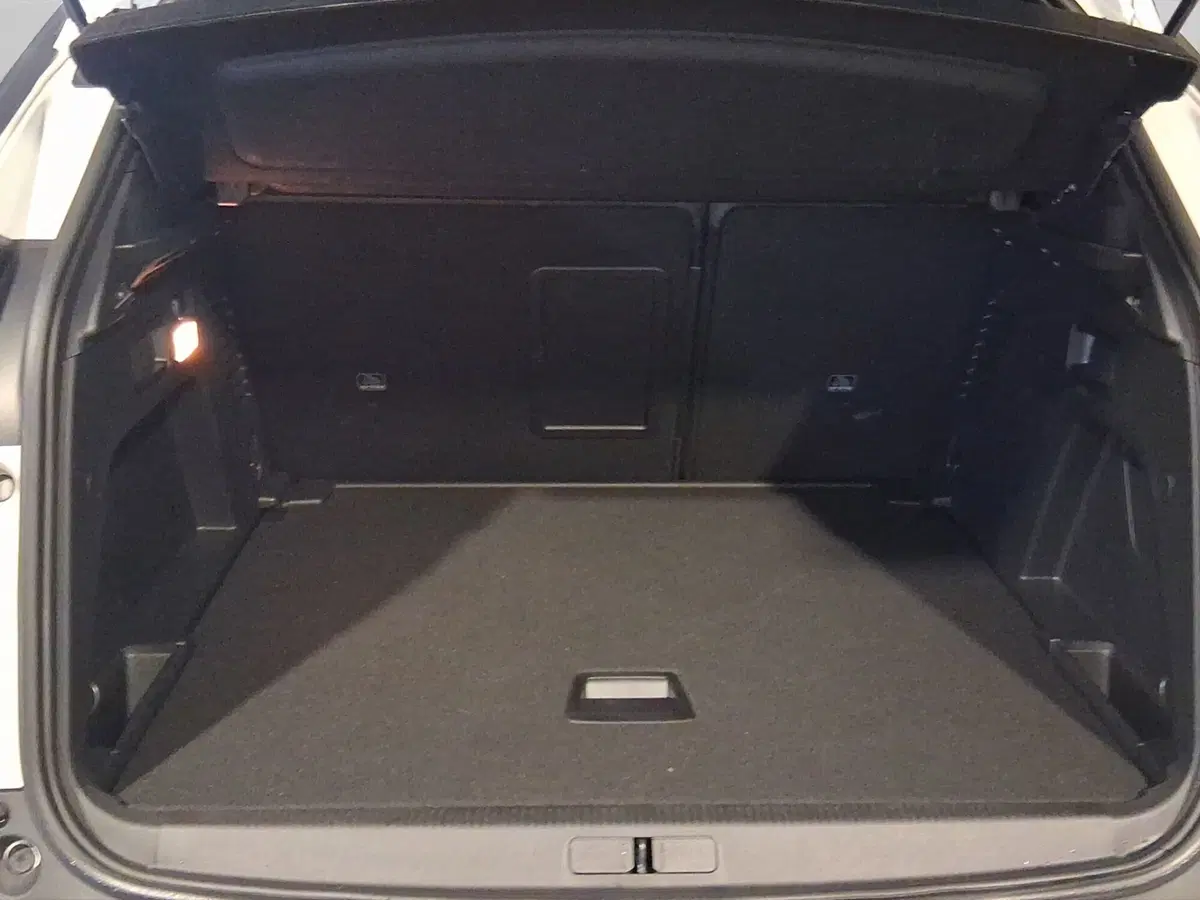 Peugeot 3008 usata a Genova (17)