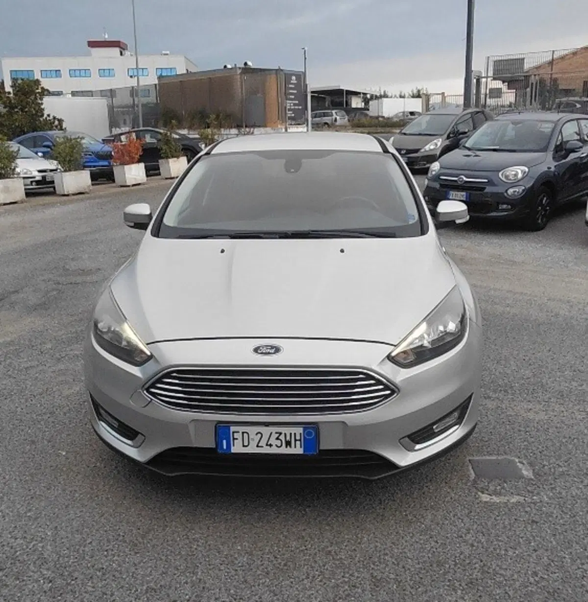 Ford Focus Station Wagon usata a Cosenza (2)