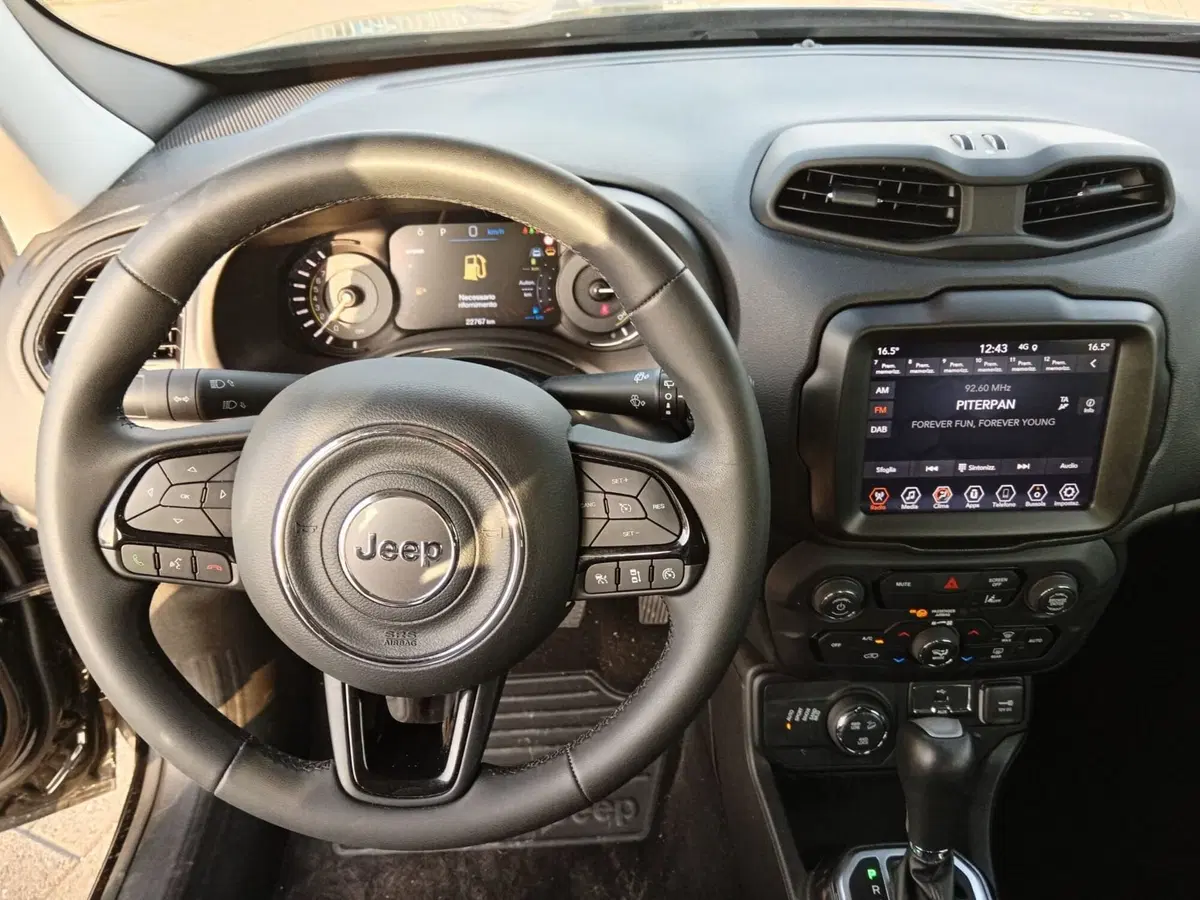 Jeep Renegade usata a Alessandria (13)