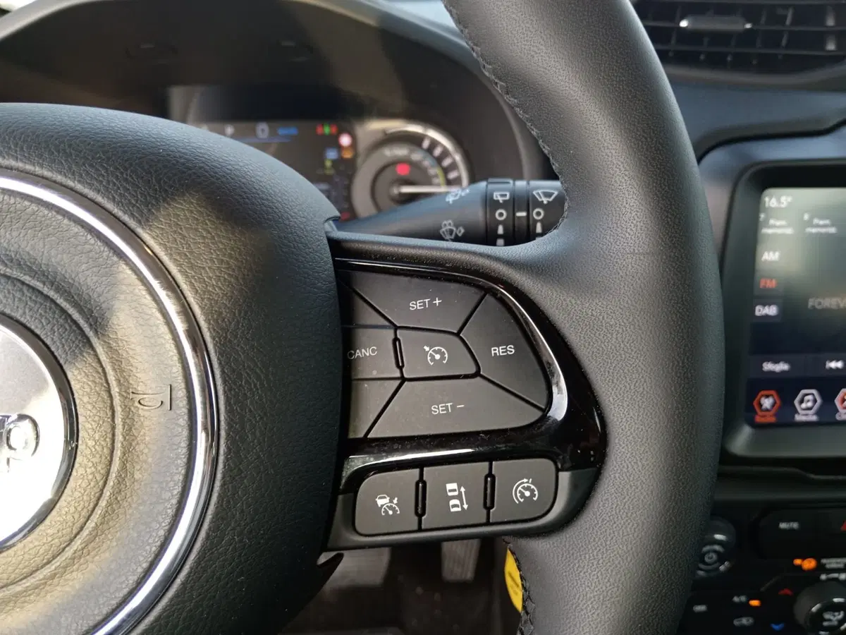 Jeep Renegade usata a Alessandria (14)