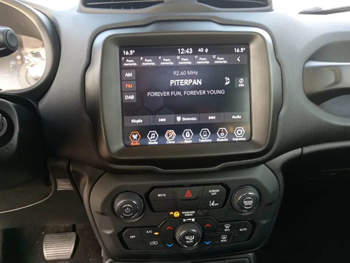 Jeep Renegade usata a Alessandria (15)