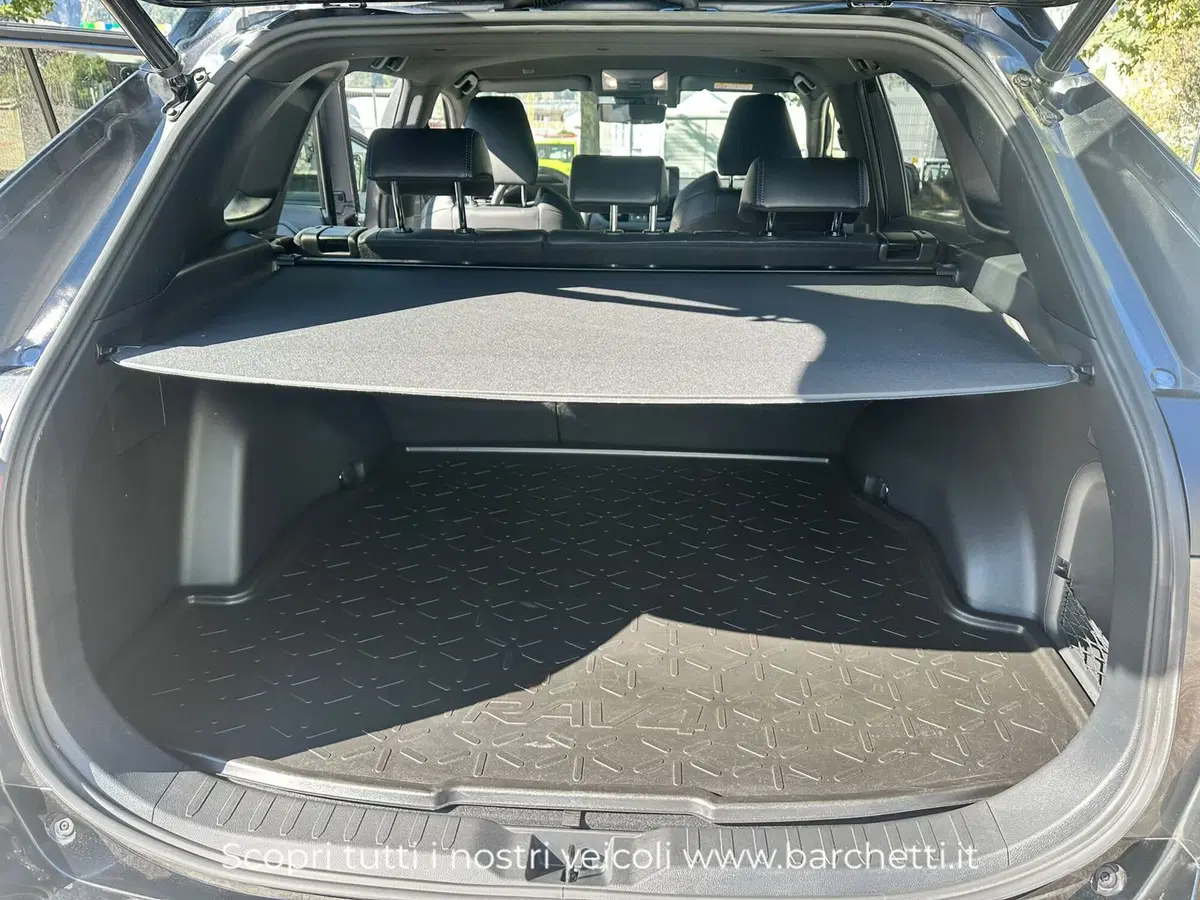 Toyota Rav4 usata a Trento (8)