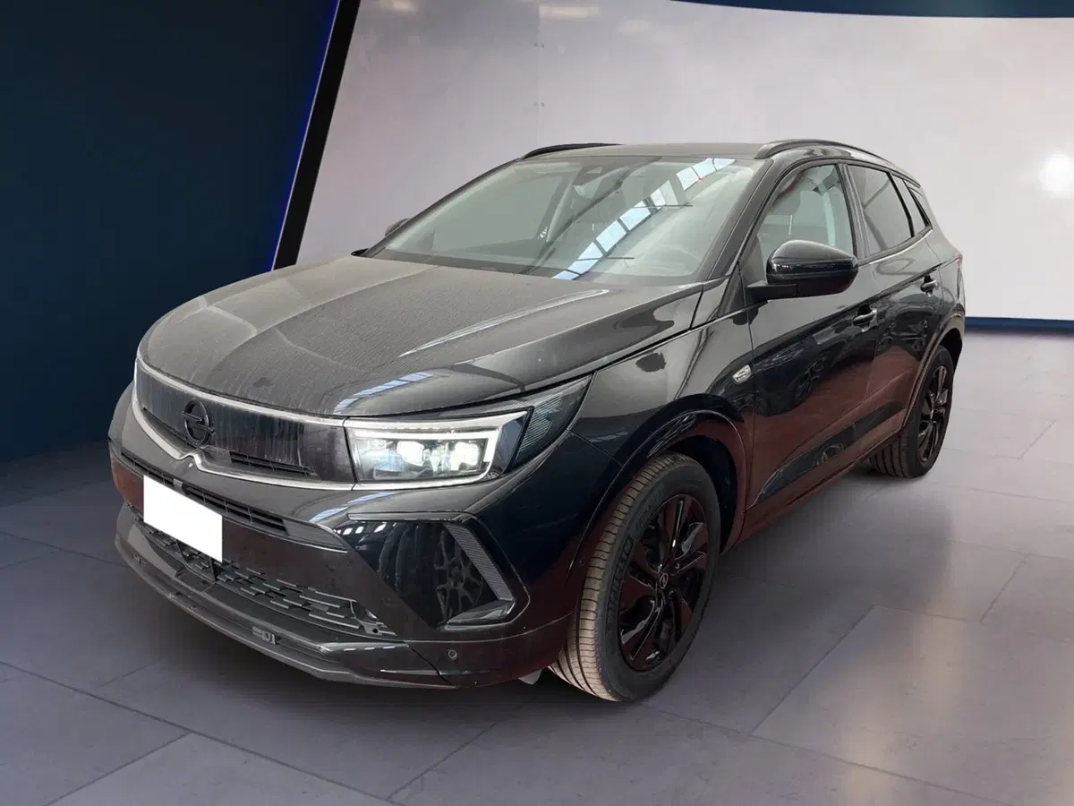 Opel Grandland usata a Torino (2)