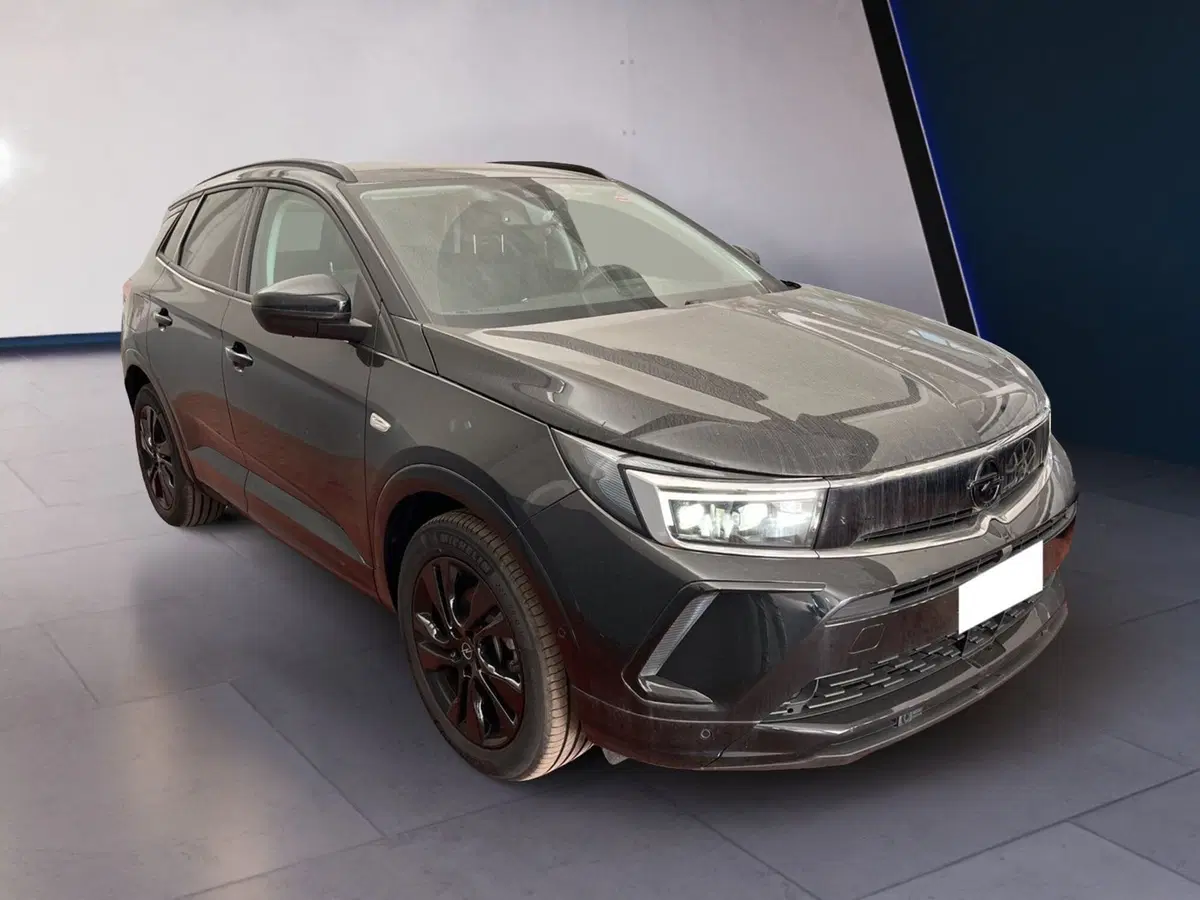 Opel Grandland usata a Torino (3)