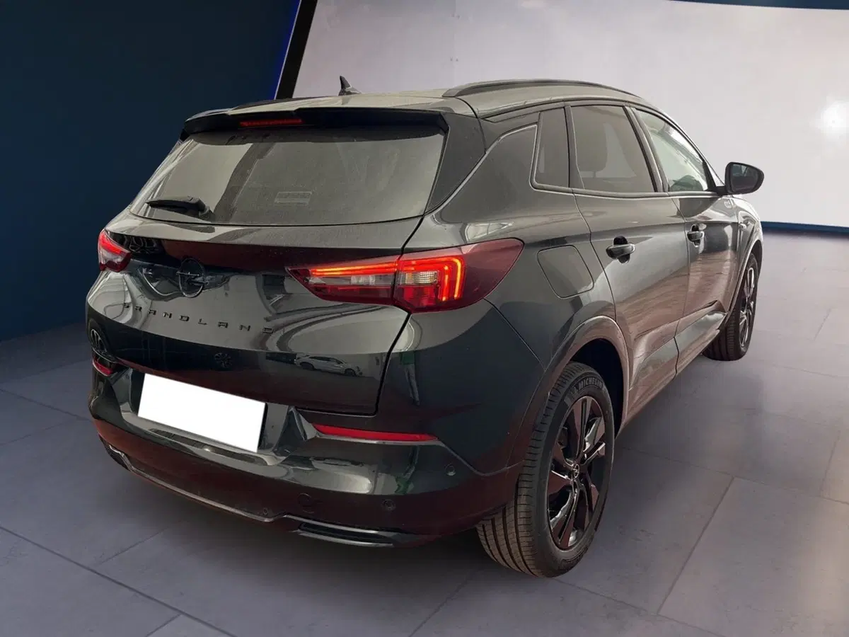 Opel Grandland usata a Torino (4)