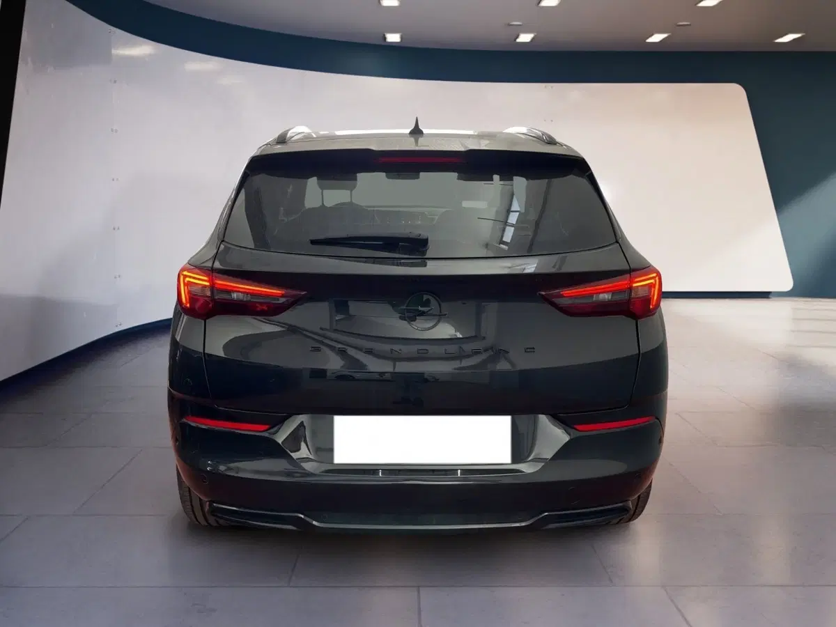 Opel Grandland usata a Torino (5)