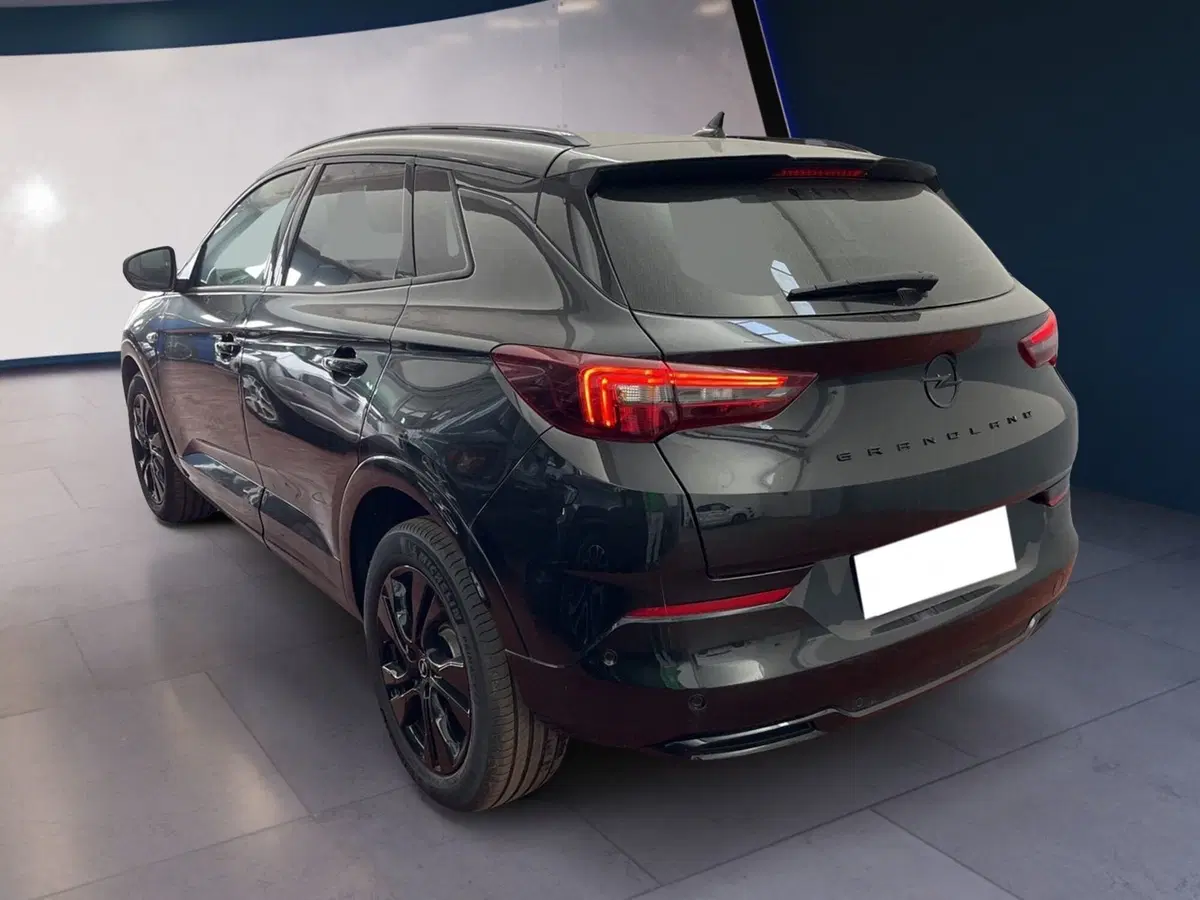 Opel Grandland usata a Torino (6)