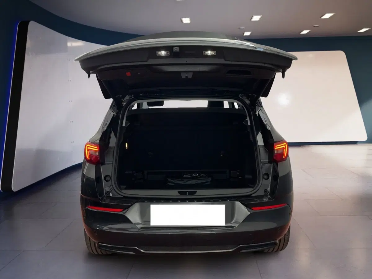 Opel Grandland usata a Torino (8)