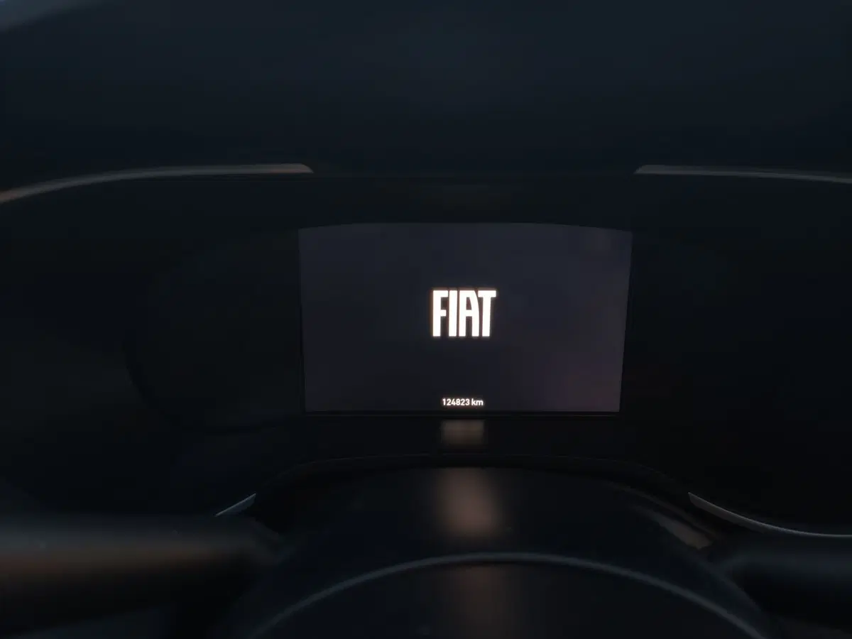 Fiat Tipo Station Wagon usata a Matera (14)