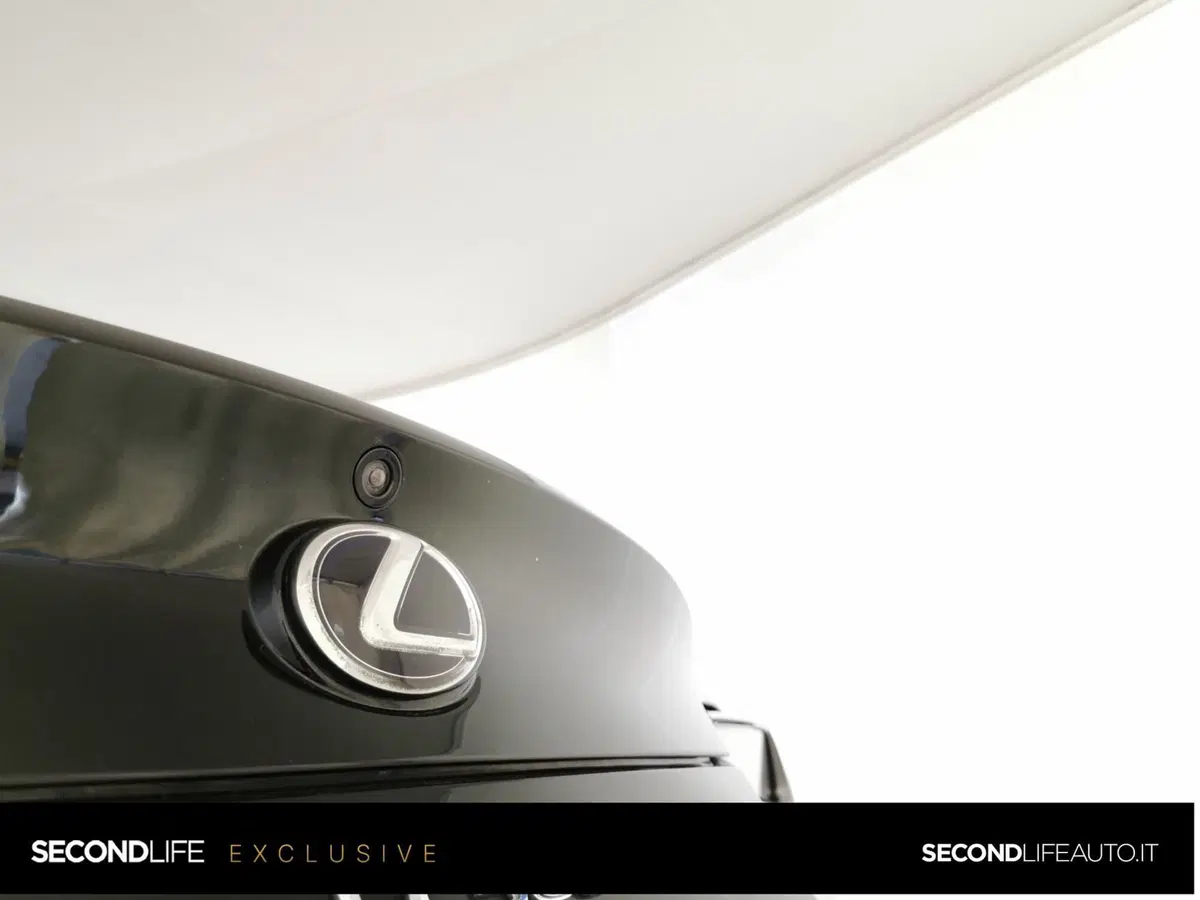 Lexus LC usata a Chieti (10)