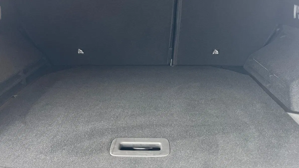 Renault Austral usata a Parma (15)