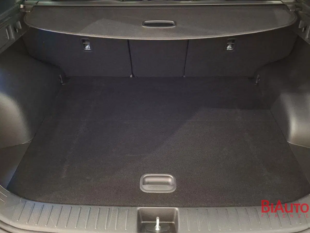 Kia Sportage usata a Firenze (5)