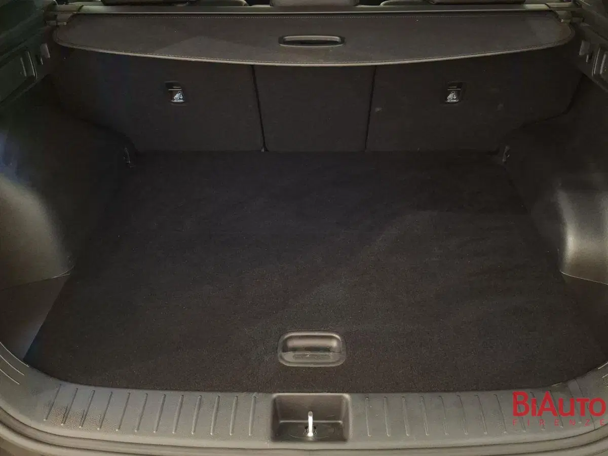 Kia Sportage usata a Firenze (5)