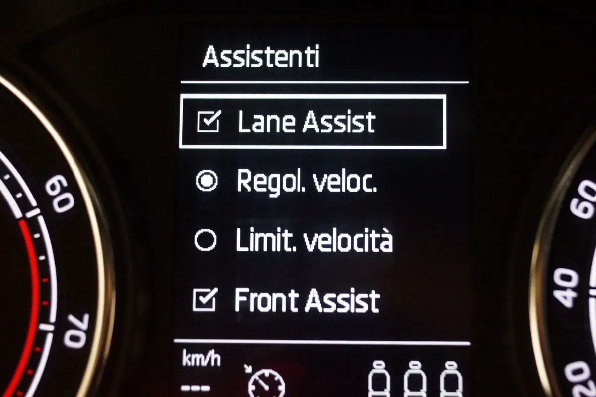 Skoda Kamiq usata a Torino (14)