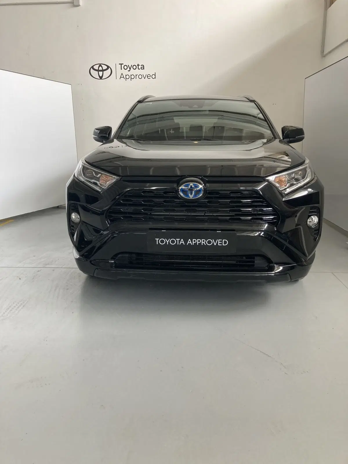 Toyota Rav4 usata a Barletta-Andria-Trani (2)