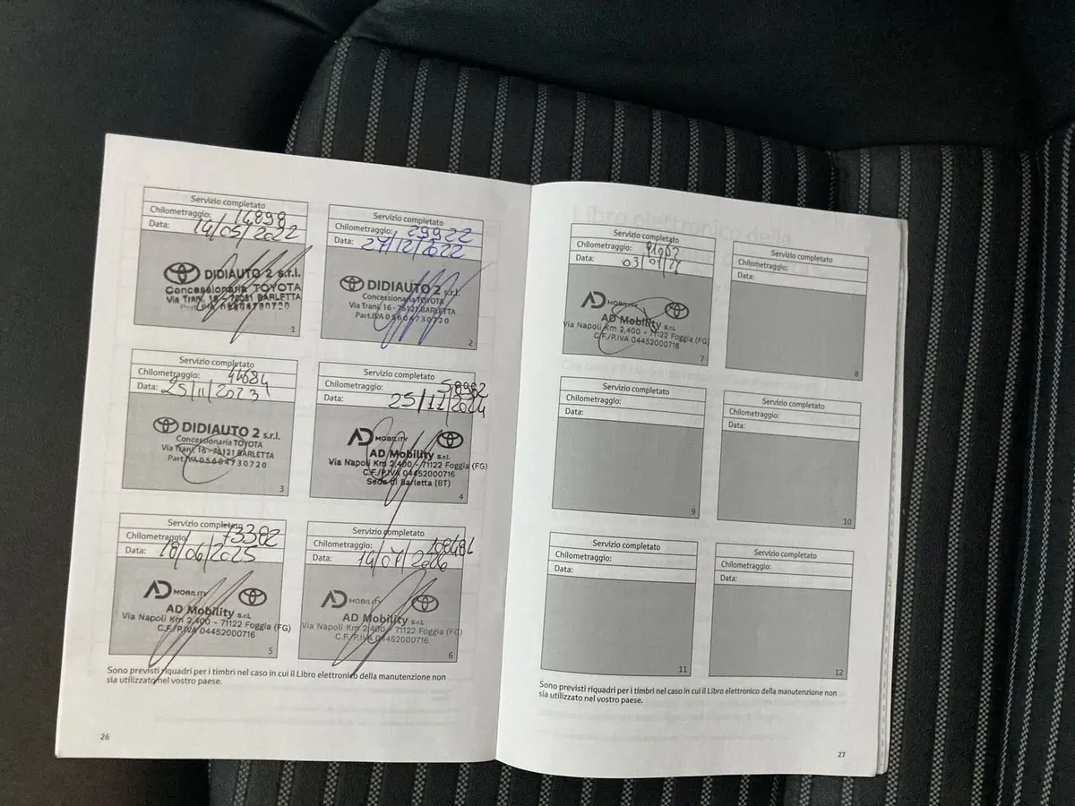 Toyota Rav4 usata a Barletta-Andria-Trani (20)