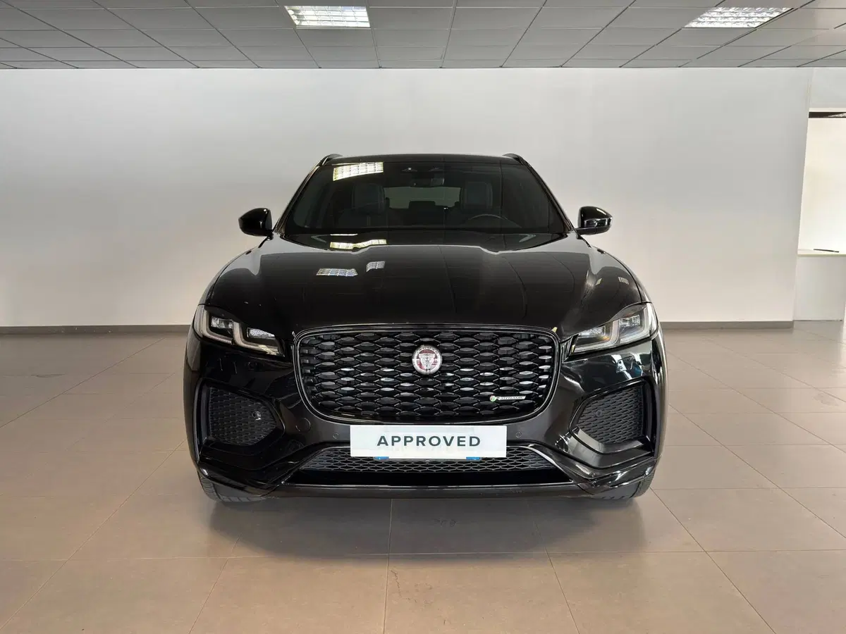 Jaguar F-Pace usata a Alessandria (8)