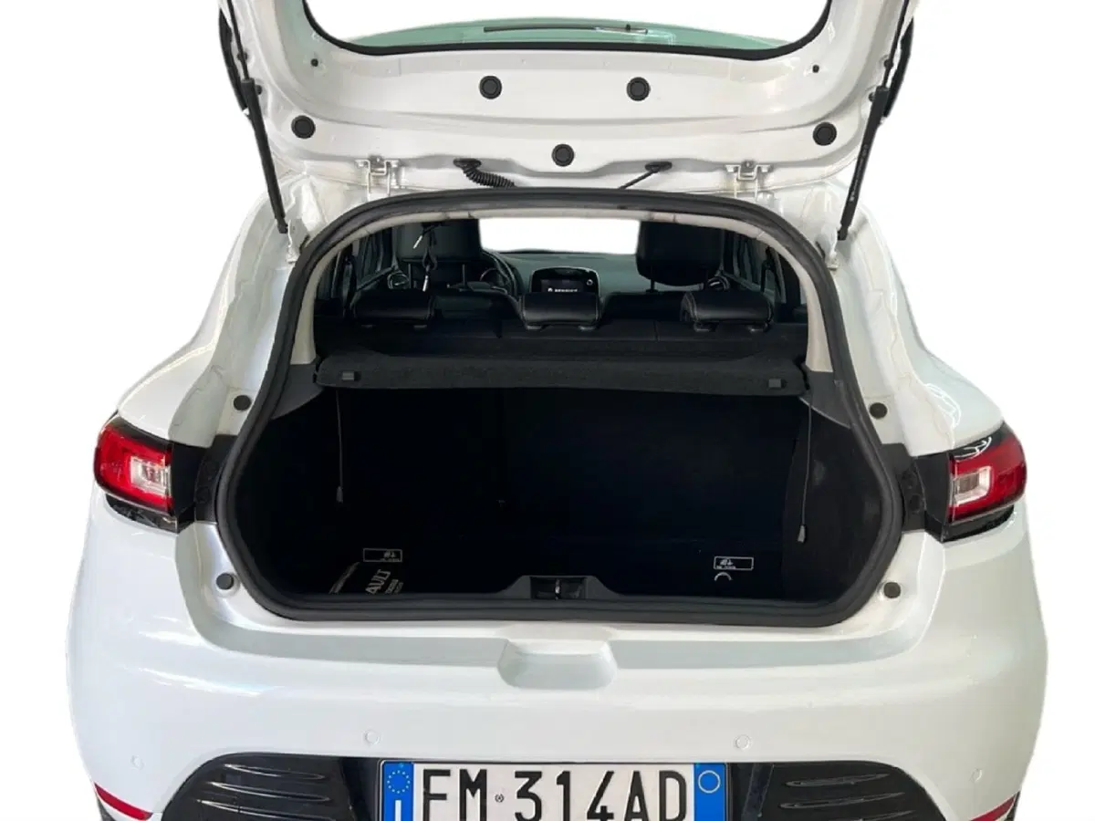 Renault Clio usata a Roma (10)