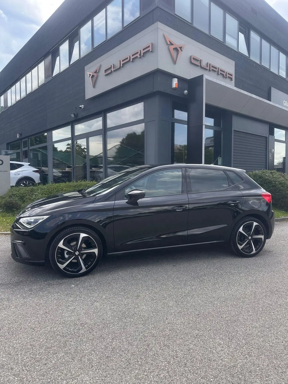 SEAT Ibiza usata a Bologna (5)