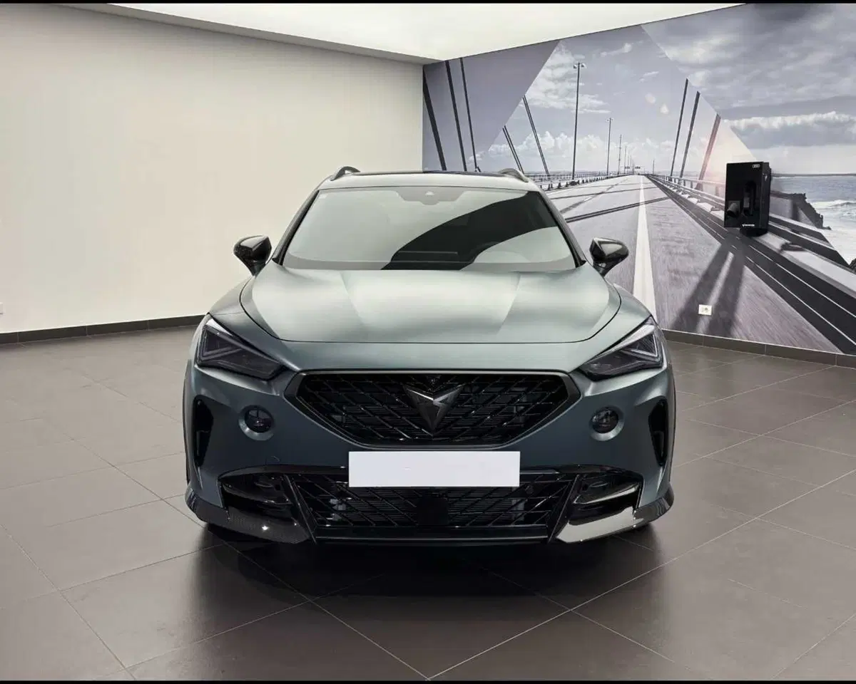 Cupra Formentor usata a Bologna (4)
