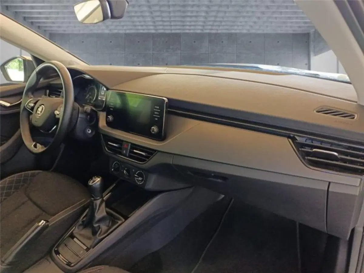 Skoda Kamiq usata a Bari (12)