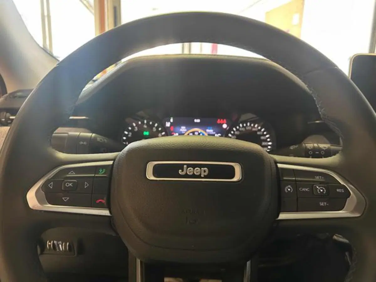 Jeep Compass usata a Vercelli (14)