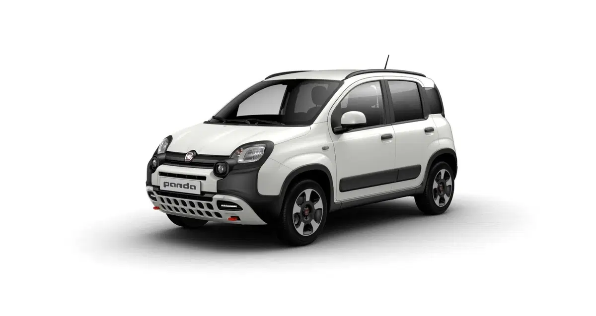 Fiat Pandina nuova a Torino