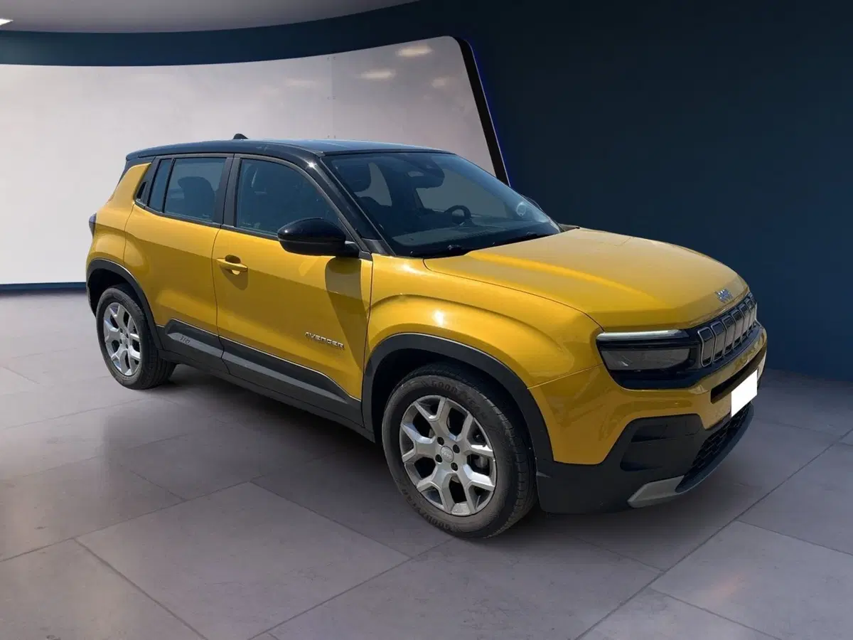 Jeep Avenger usata a Torino (2)