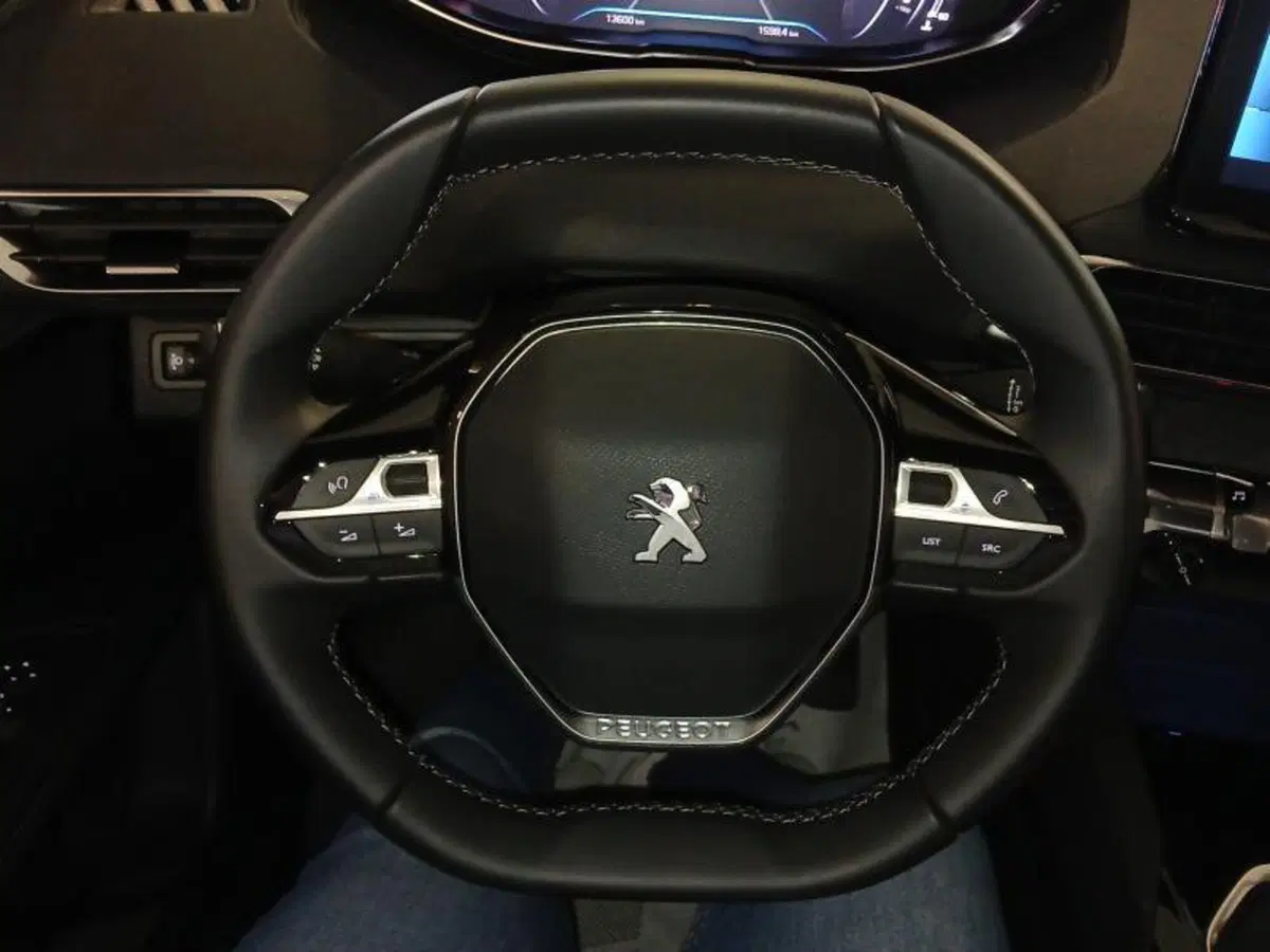 Peugeot 3008 usata a Genova (14)