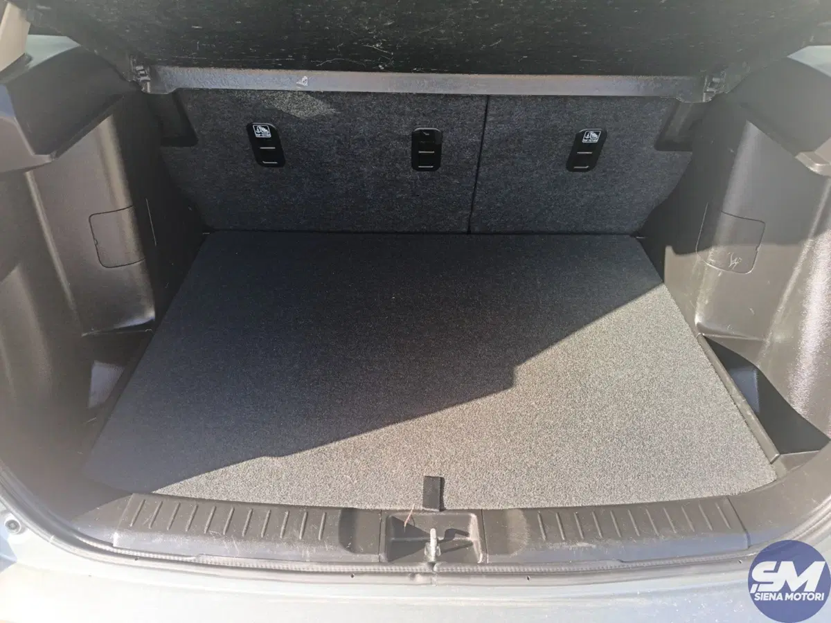 Suzuki Vitara usata a Siena (19)