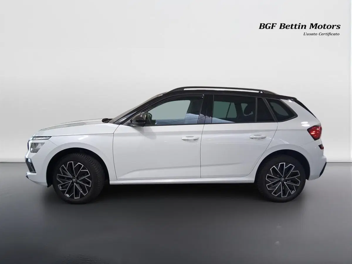 Skoda Kamiq usata a Padova (2)