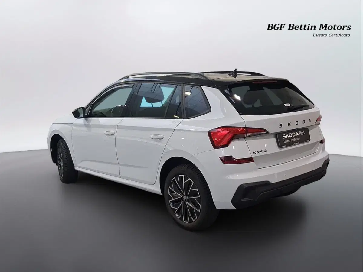 Skoda Kamiq usata a Padova (3)