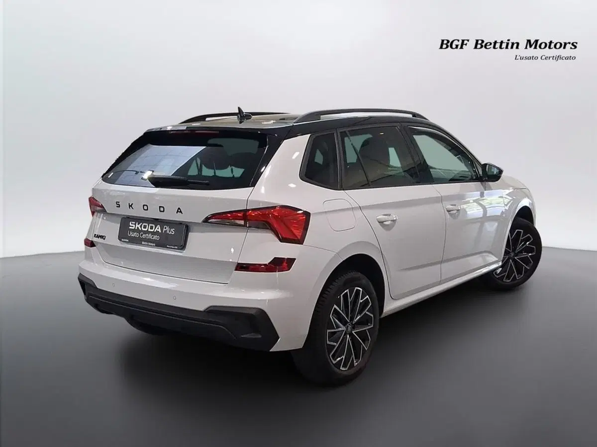 Skoda Kamiq usata a Padova (4)