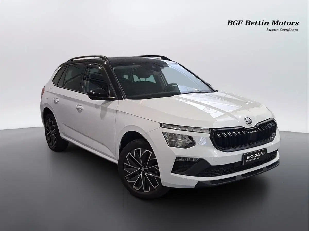 Skoda Kamiq usata a Padova (6)