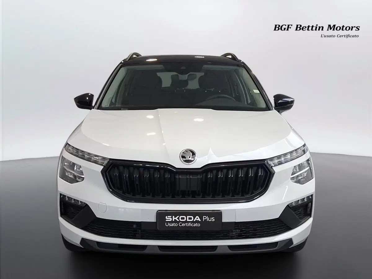 Skoda Kamiq usata a Padova (7)