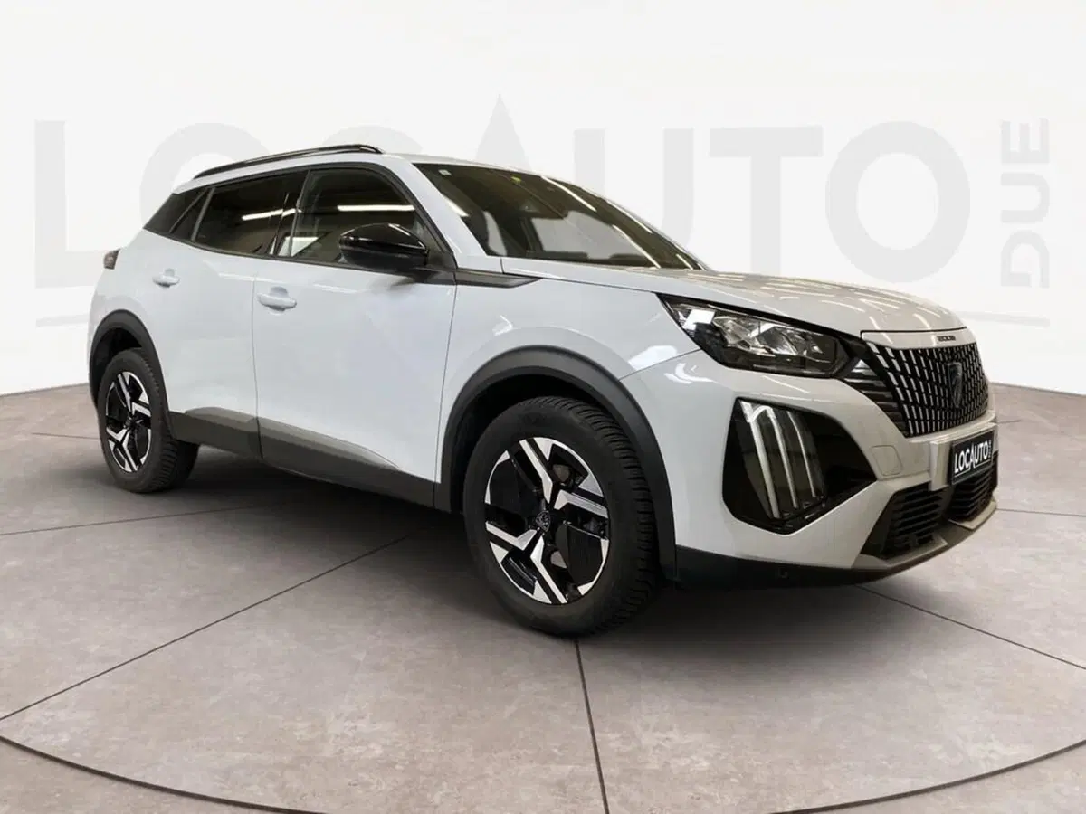Peugeot 2008 usata a Torino (3)