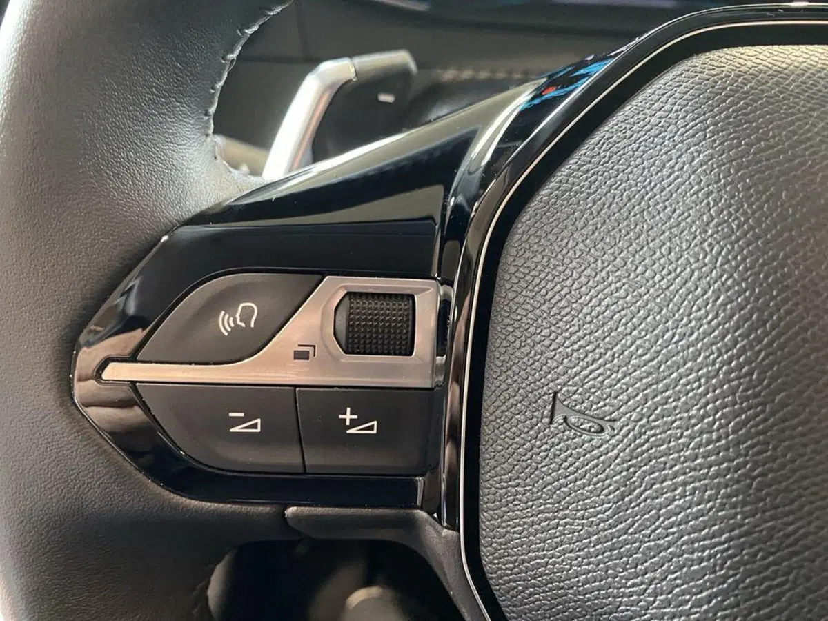 Peugeot 208 usata a Torino (13)