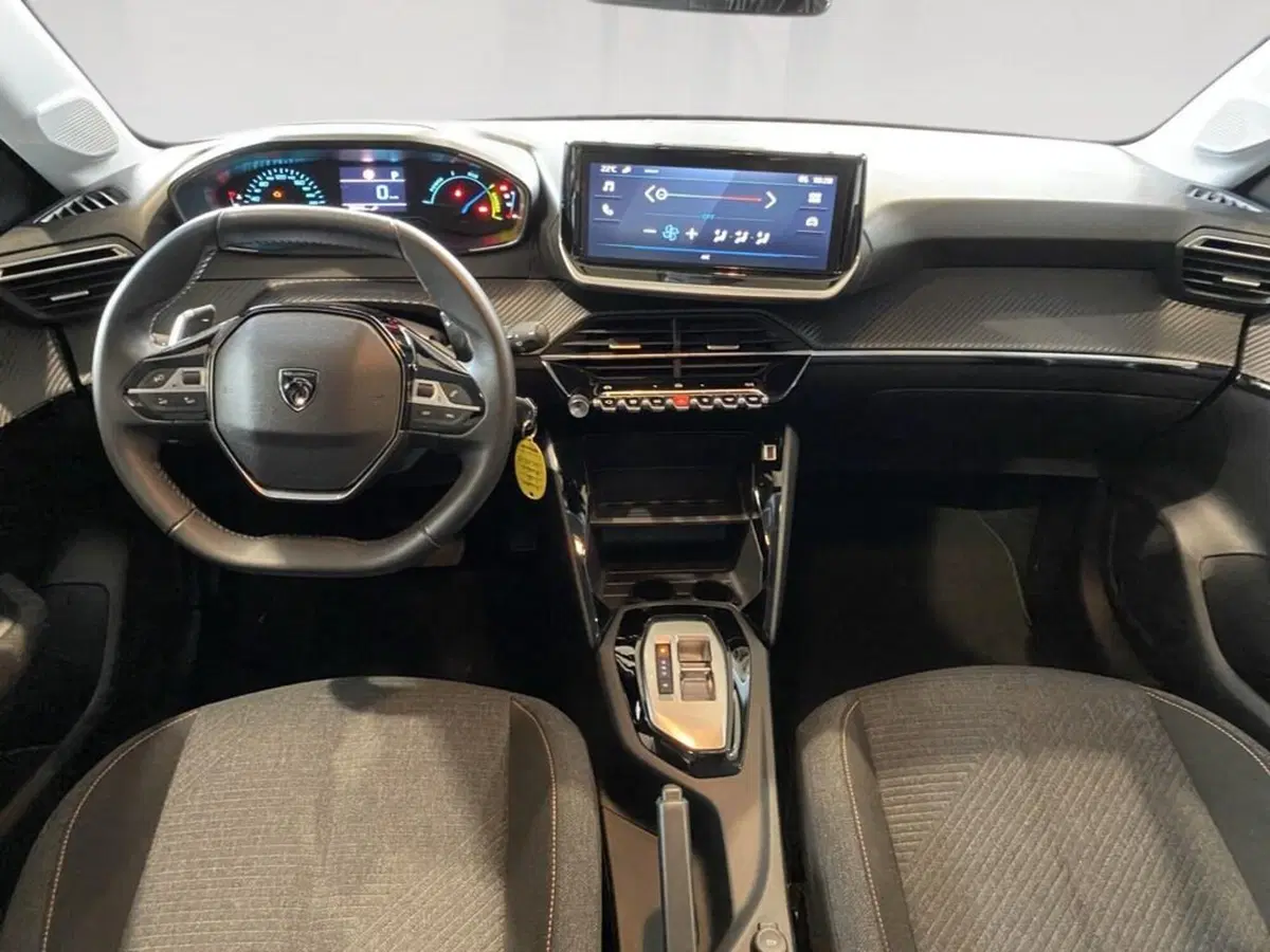 Peugeot 208 usata a Torino (6)