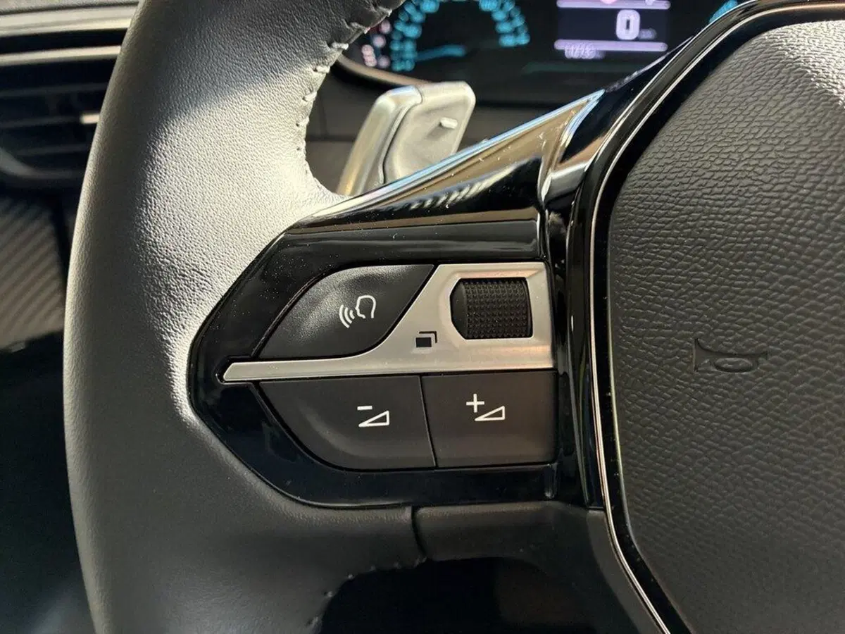 Peugeot 208 usata a Torino (13)
