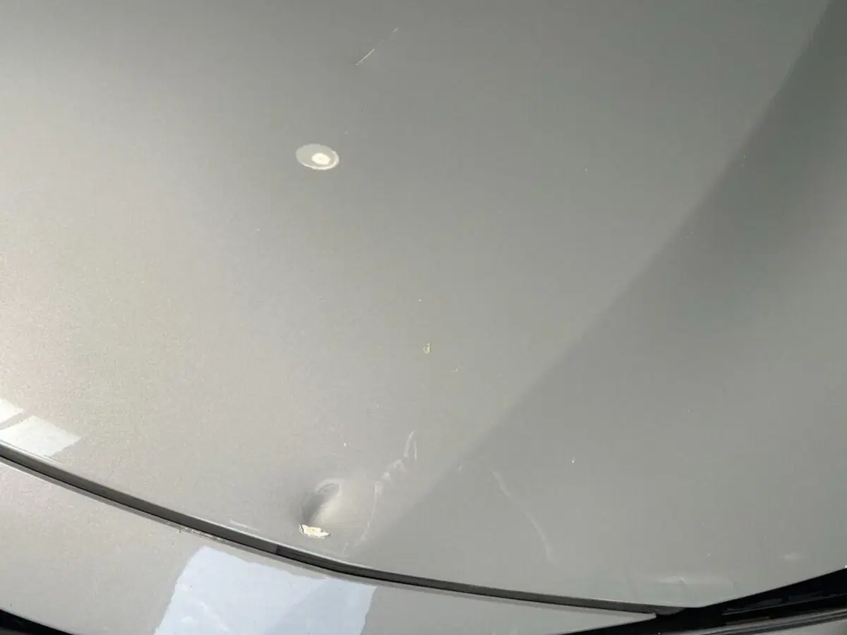 Toyota Corolla Touring Sports usata a Torino (14)