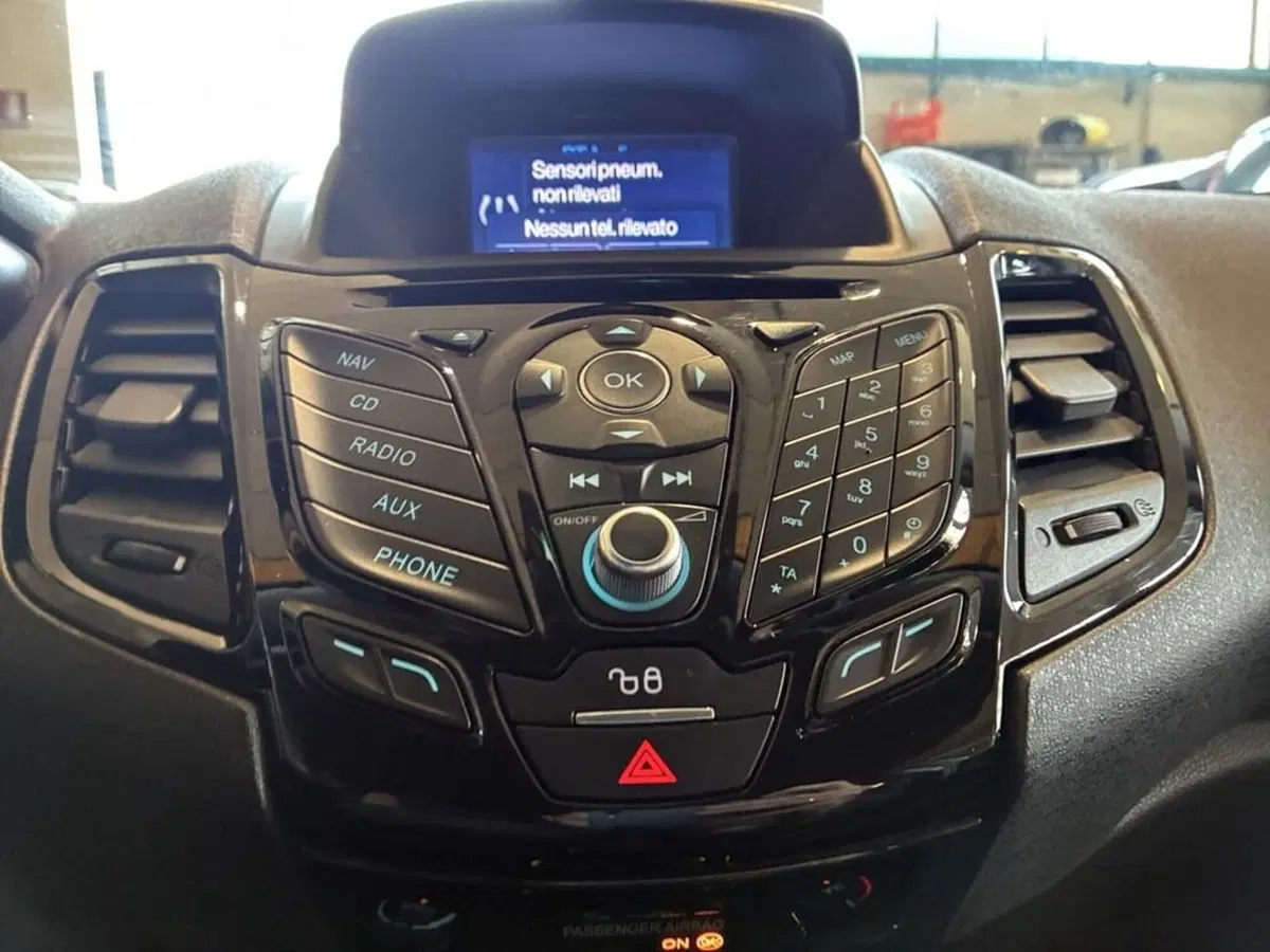 Ford Fiesta usata a Torino (10)