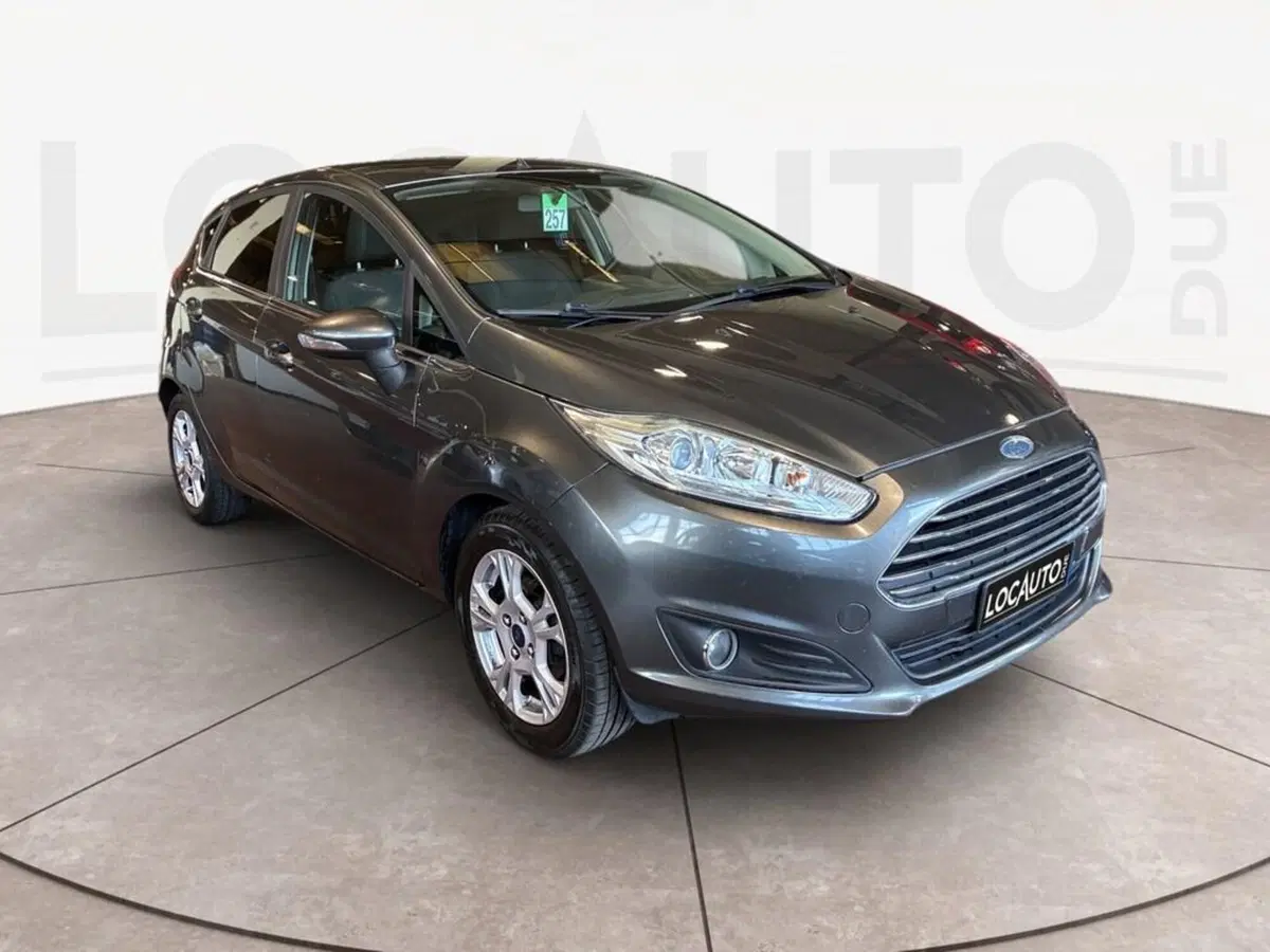 Ford Fiesta usata a Torino (3)