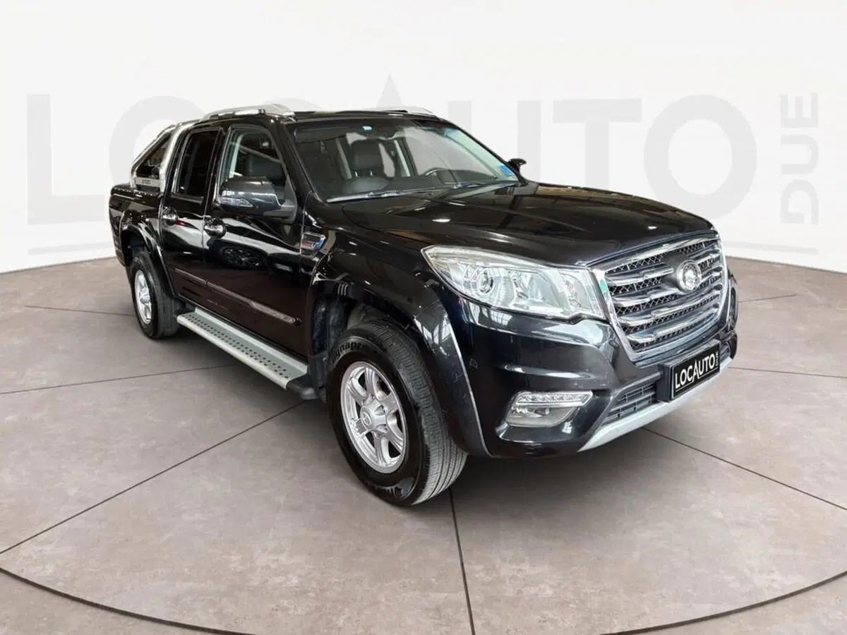 Great Wall Steed Pick-up usata a Torino (3)