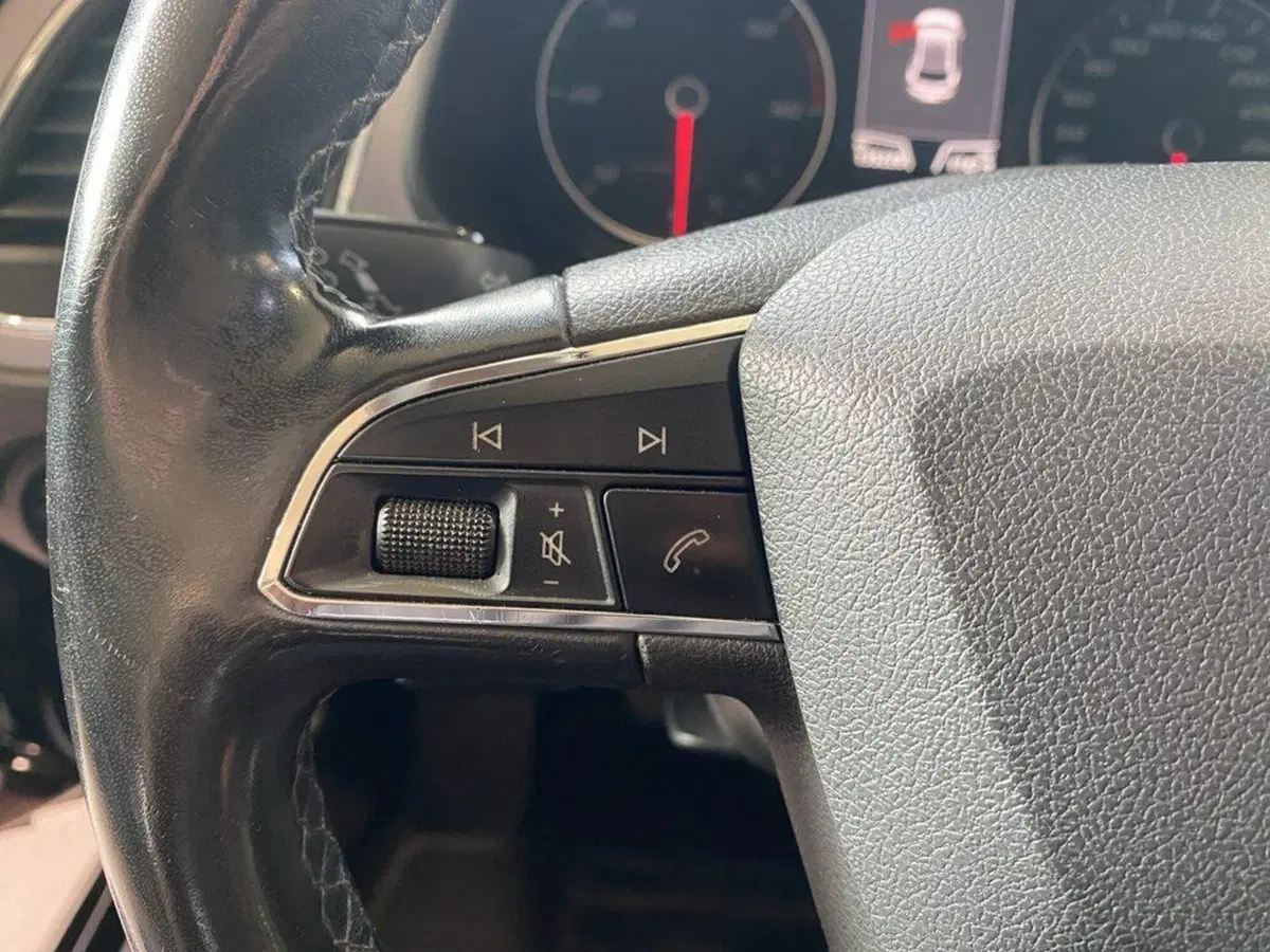 SEAT Leon usata a Torino (13)
