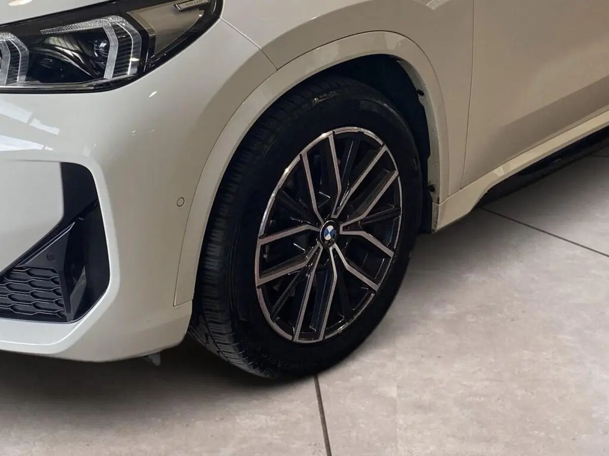 BMW X1 usata a Torino (15)
