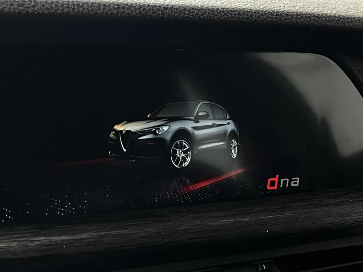 Alfa Romeo Stelvio usata a Sondrio (14)
