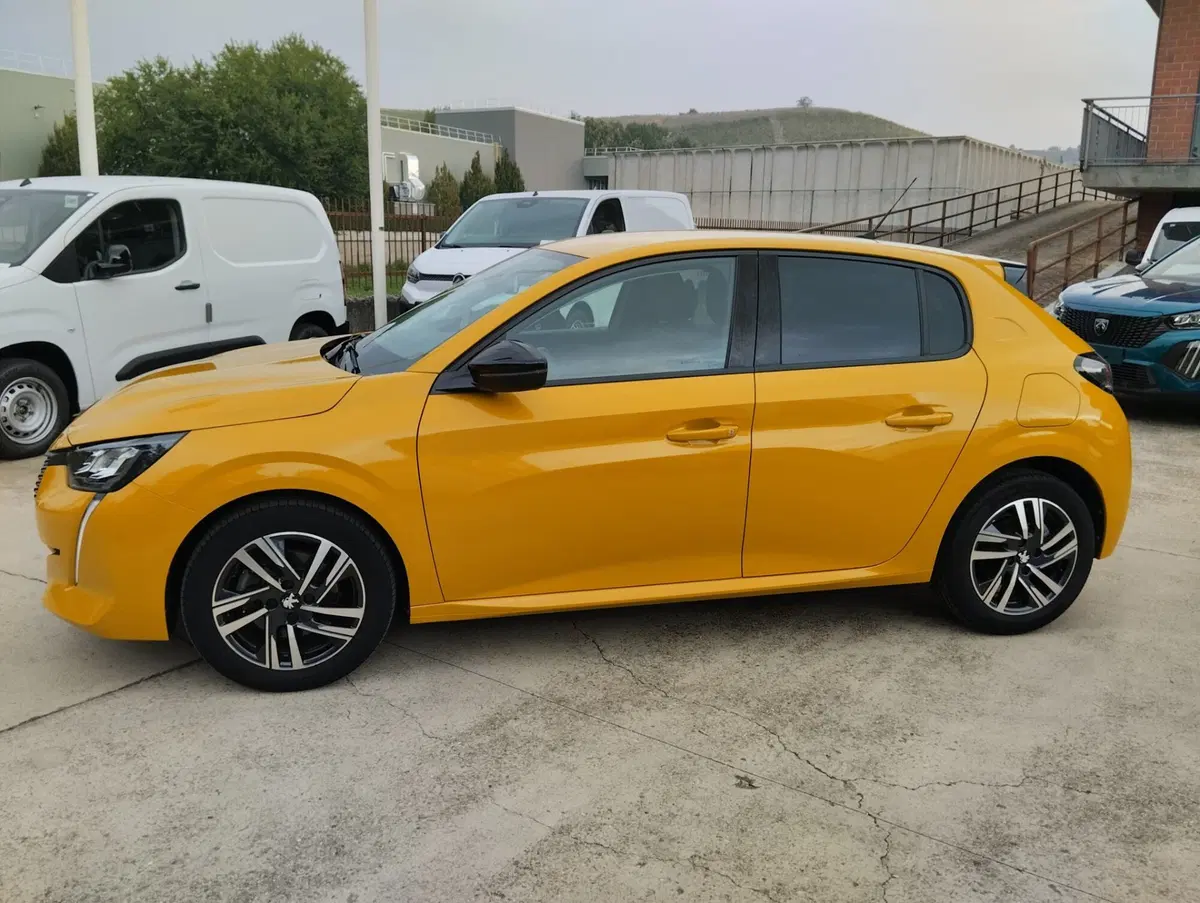 Peugeot 208 usata a Asti (6)