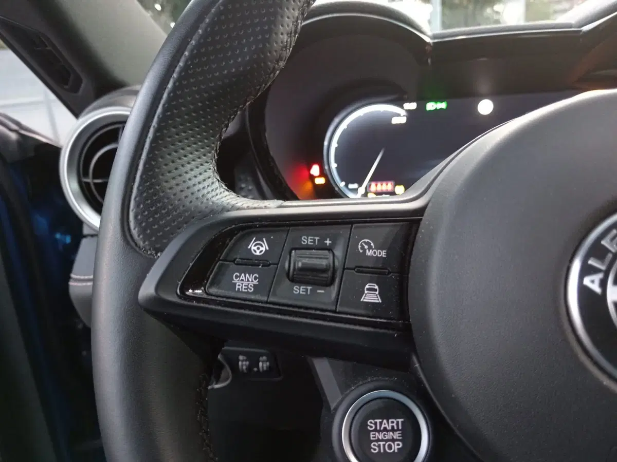 Alfa Romeo Tonale usata a Alessandria (15)