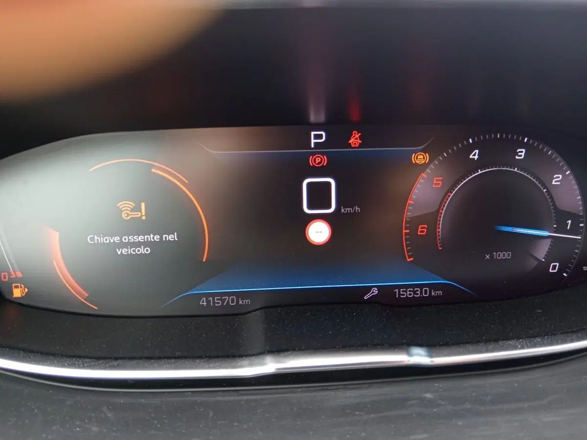 Peugeot 3008 usata a Alessandria (14)