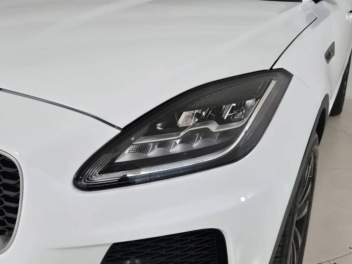Jaguar E-Pace usata a Torino (19)